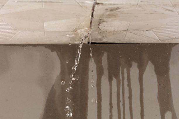 Professional Water Damage Inspection technician working in Dickerson, MD